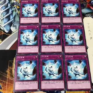 白の咆哮 PP20 1 ノーマル 9枚セット てら