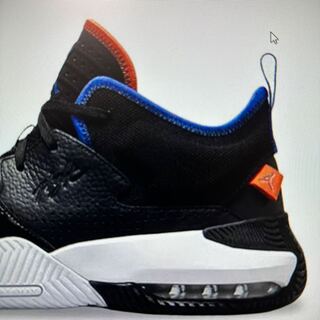 エアージョーダン　ステイ　ロイヤル　2 28cm