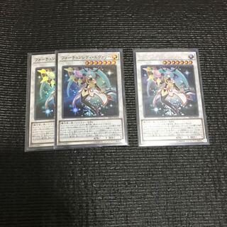 フォーチュンレディ・エヴァリー SR & SE