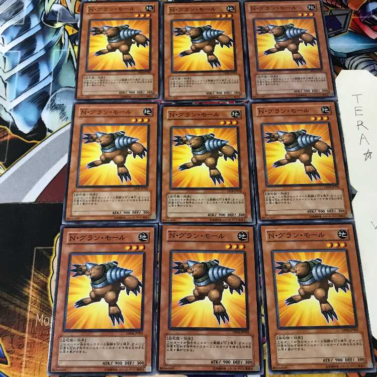 Neo-Spacian Grand Mole DP06 2 Normal, set of 9 Tera.