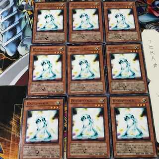 N・グロー・モス DP06 2 ノーマル 9枚セット てら