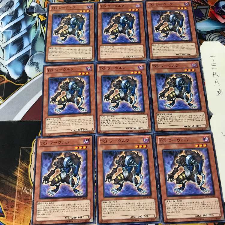 T.G. Warwolf EXVC 2 Normal, set of 9 Tera.