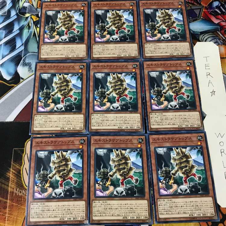 エキストラケアトップス SAST 1 ノーマル 9枚セット てら