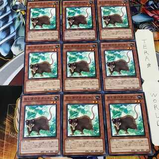 おとぼけオポッサム DREV 1 ノーマル 9枚セット てら