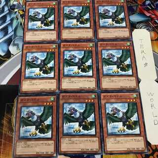 ガスタ・コドル GENF 1 ノーマル 9枚セット てら