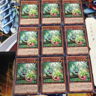 カメンレオン JOTL 1 ノーマル 9枚セット てら