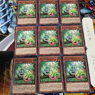 Masked Chameleon JOTL 2 Normal, set of 9 Tera.