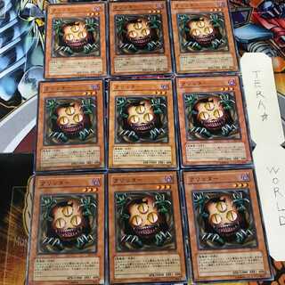 Sangan SY2 2 Normal, set of 9 Tera.