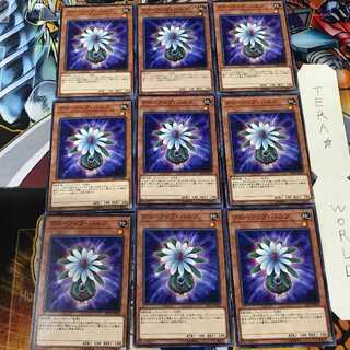 Glow-Up Bulb SD32 1 Normal, set of 9 Tera