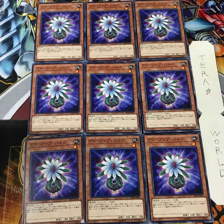 Glow-Up Bulb SD32 2 Normal, set of 9 Tera