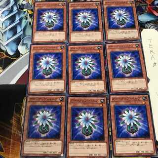 Glow-Up Bulb STBL 1 Normal, set of 9 Tera