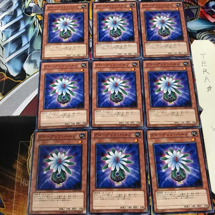 Glow-Up Bulb STBL 2 Normal, set of 9 Tera