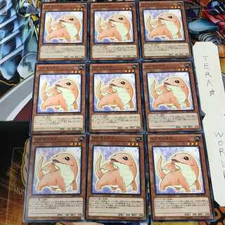 コドモドラゴン SR02 2 ノーマル 9枚セット てら