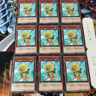 ダンディライオン SR01 2 ノーマル 9枚セット てら