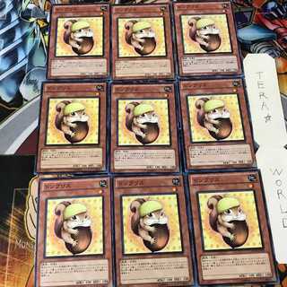 ドングリス PHSW 1 ノーマル 9枚セット てら