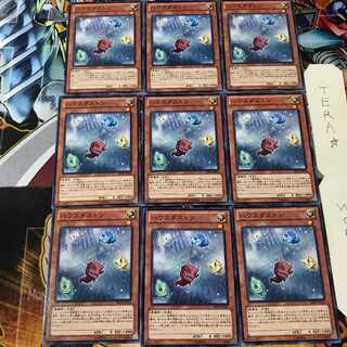 ハウスダストン ABYR 2 ノーマル 9枚セット てら