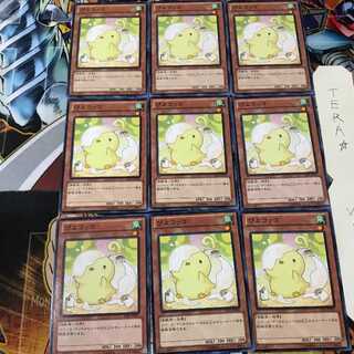 ぴよコッコ JOTL 1 ノーマル 9枚セット てら