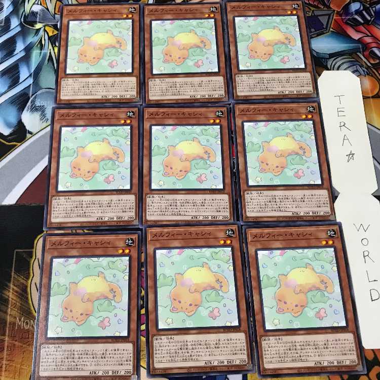 メルフィー・キャシィ ROTD 1 ノーマル 9枚セット てら