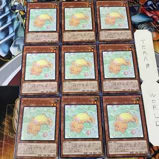 メルフィー・キャシィ ROTD 2 ノーマル 9枚セット てら