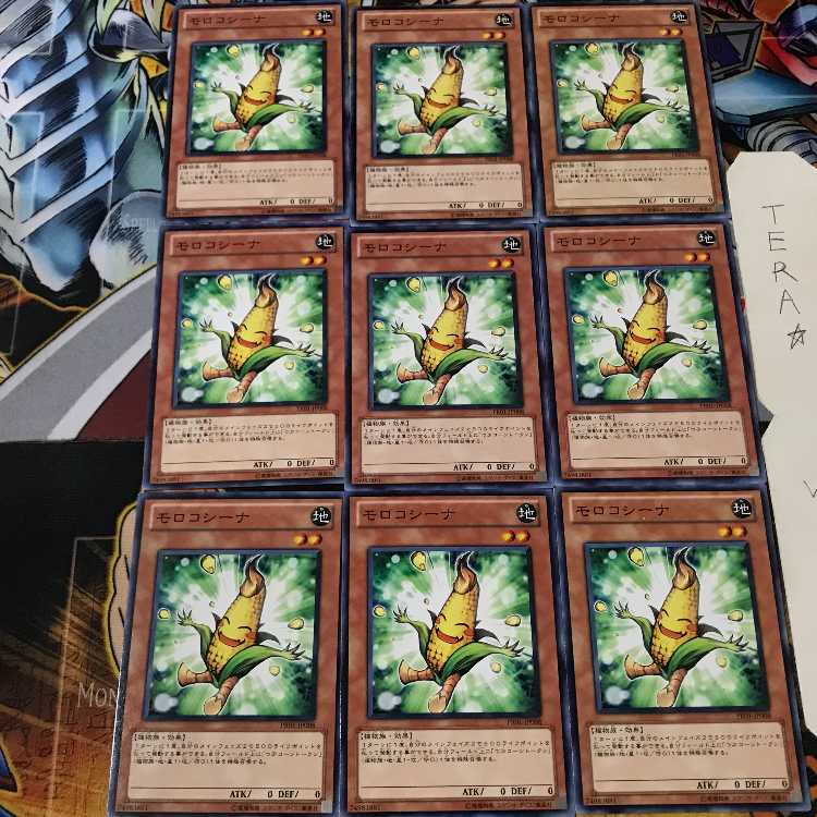 モロコシーナ PR01 1 ノーマル 9枚セット てら