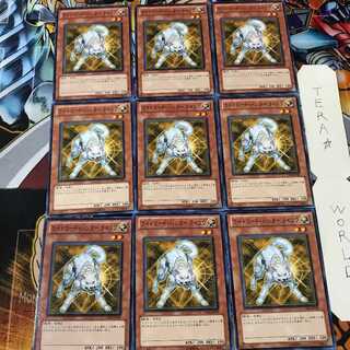 Ryko, Lightsworn Hunter GS03 2 Normal, set of 9 Tera.