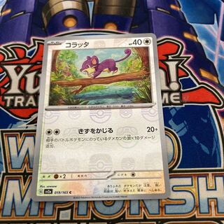 Rattata (Master Ball pattern/mirror) C 019/165