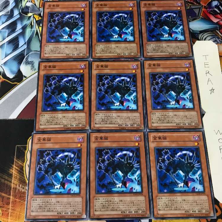 金華猫 TDGS 1 ノーマル 9枚セット てら