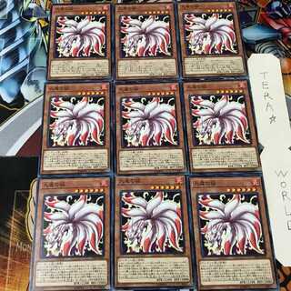 九尾の狐 PP20 1 ノーマル 9枚セット てら