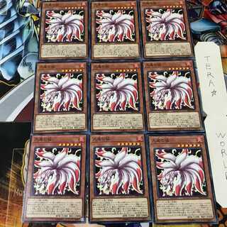 九尾の狐 PP20 2 ノーマル 9枚セット てら