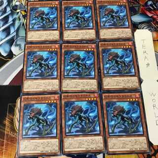 幻創のミセラサウルス RATE 6 ノーマル 9枚セット てら