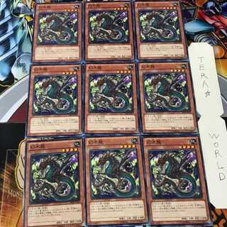 幻木龍 SHSP 2 ノーマル 9枚セット てら