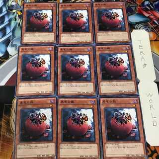 黒竜の雛 SD22 1 ノーマル 9枚セット てら