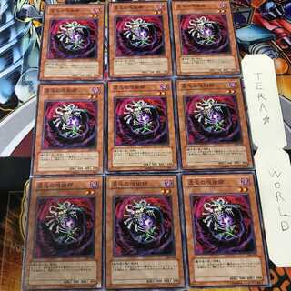 混沌の呪術師 306 1 ノーマル 9枚セット てら