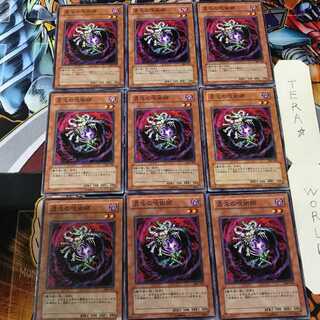 混沌の呪術師 306 2 ノーマル 9枚セット てら