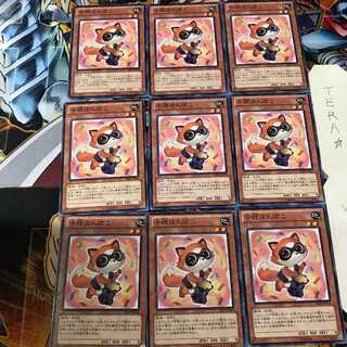 子狸ぽんぽこ SHSP 2 ノーマル 9枚セット てら