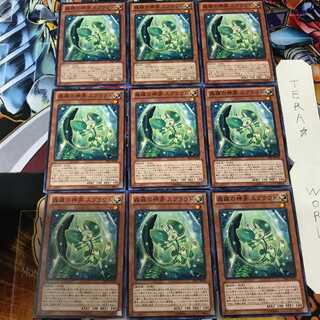 森羅の神芽 スプラウト PRIO 1 ノーマル 9枚セット てら