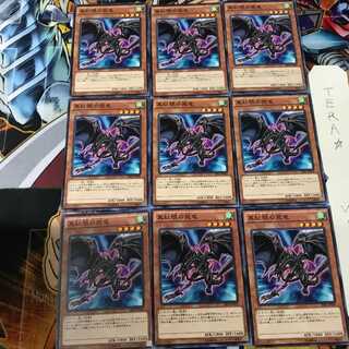 真紅眼の飛竜 SR02 1 ノーマル 9枚セット てら