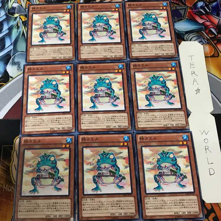 Ronintoadin DE04 1 Normal, set of 9 Tera.