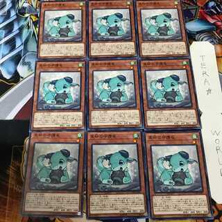 星杯の守護竜 COTD 1 ノーマル 9枚セット てら