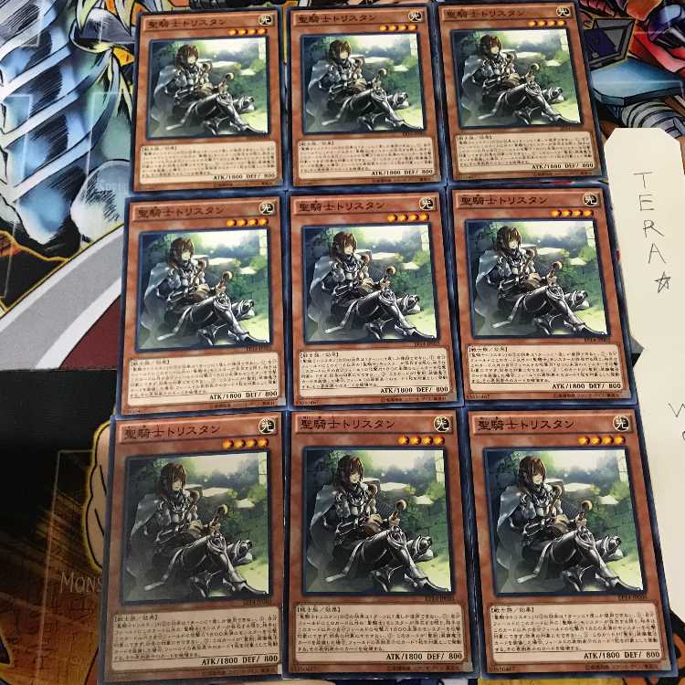 聖騎士トリスタン EP14 1 ノーマル 9枚セット てら