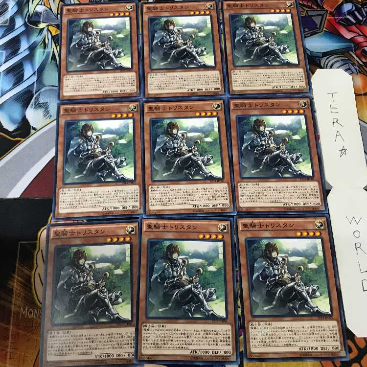 聖騎士トリスタン EP14 2 ノーマル 9枚セット てら