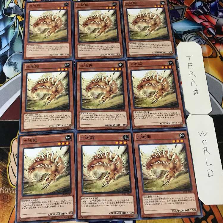 土地鋸 SHSP 1 ノーマル 9枚セット てら