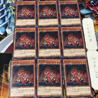 破面竜 NECH 2 ノーマル 9枚セット てら