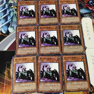 尾も白い黒猫 303 1 ノーマル 9枚セット てら