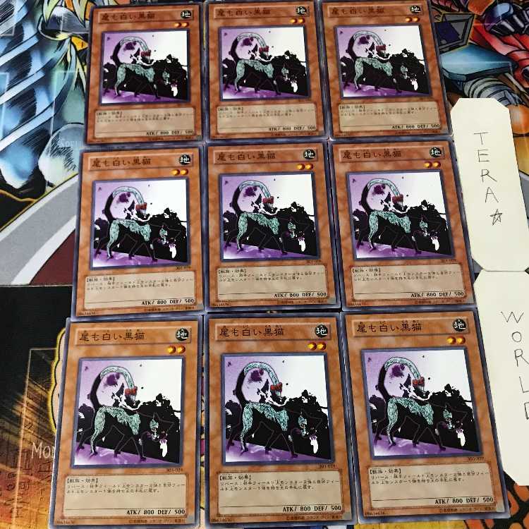 尾も白い黒猫 303 2 ノーマル 9枚セット てら