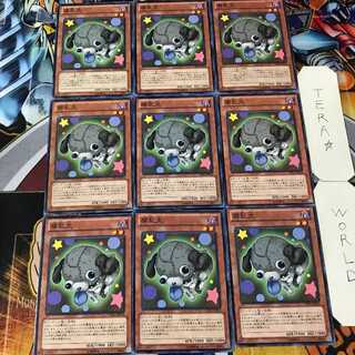 腐乱犬 CPZ1 1 ノーマル 9枚セット てら