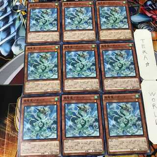 風竜星-ホロウ DUEA 2 ノーマル 9枚セット てら