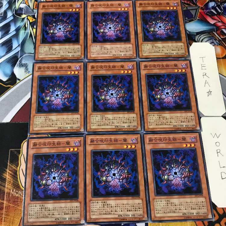 Polymerization Jyunin Life Mono - Yami FET 5 Normal 9-card set Tera