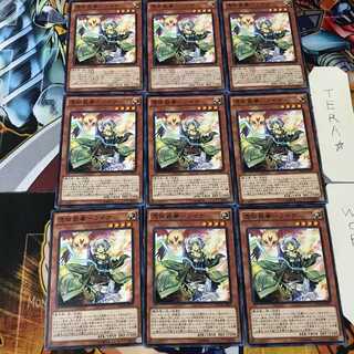 憑依装着-ライナ MACR 1 ノーマル 9枚セット てら