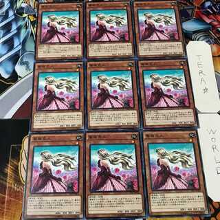 薔薇恋人 PP17 1 ノーマル 9枚セット てら